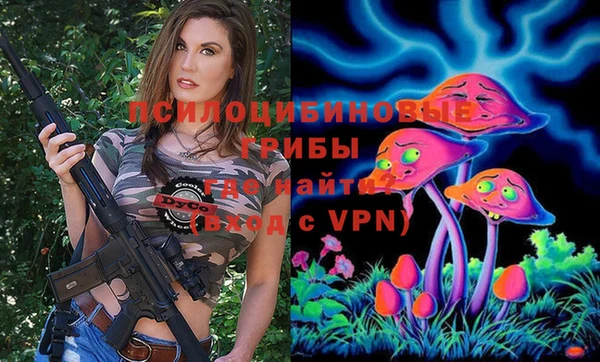 гидропоника Алзамай